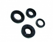 Сальники двигателя К-Т STELS 2T 50cc к-т 4 шт 'Motol" 