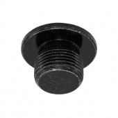 Болт заглушка распредвала ГРМ M14 х 1 / GR7 двиг. ZS177MM ( NC250 ) / ZS174MN ( CBS300 )