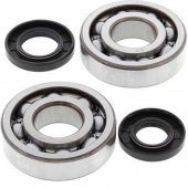 Комплект подшипников и сальников коленвала ALL BALLS Kawasaki KX 250 2001 