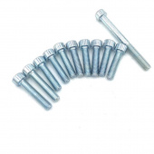 Комплект болтов крышки вариатора Yamaha Jog (комп 11шт) MT