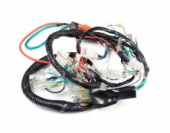 Жгут проводки DELTA  50- 110сс "ML"