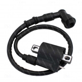 Катушка зажигания со свечным колпачком Regulmoto TE