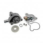 Помпа в сборе GR2 двиг. ZS 174MN (CBS300)