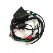 Жгут проводки ATV KAYO YCF110  