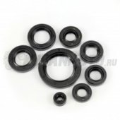 Сальники двигателя К-Т  Minsk-Viper, СВ-250сс