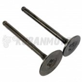 Клапаны К-Т 139FMB / питбайк стандартные d=20/23 100 - 110сс 