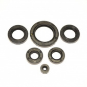 Сальники двигателя К-Т  Minsk-Viper,  CG-200сс