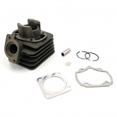 ЦПГ Honda AF 27  d-39  50cc   "FORMULA1"