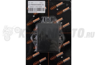 CDI KAYO двиг. ZS155 см3 ( P060509 / D030005 ) 
